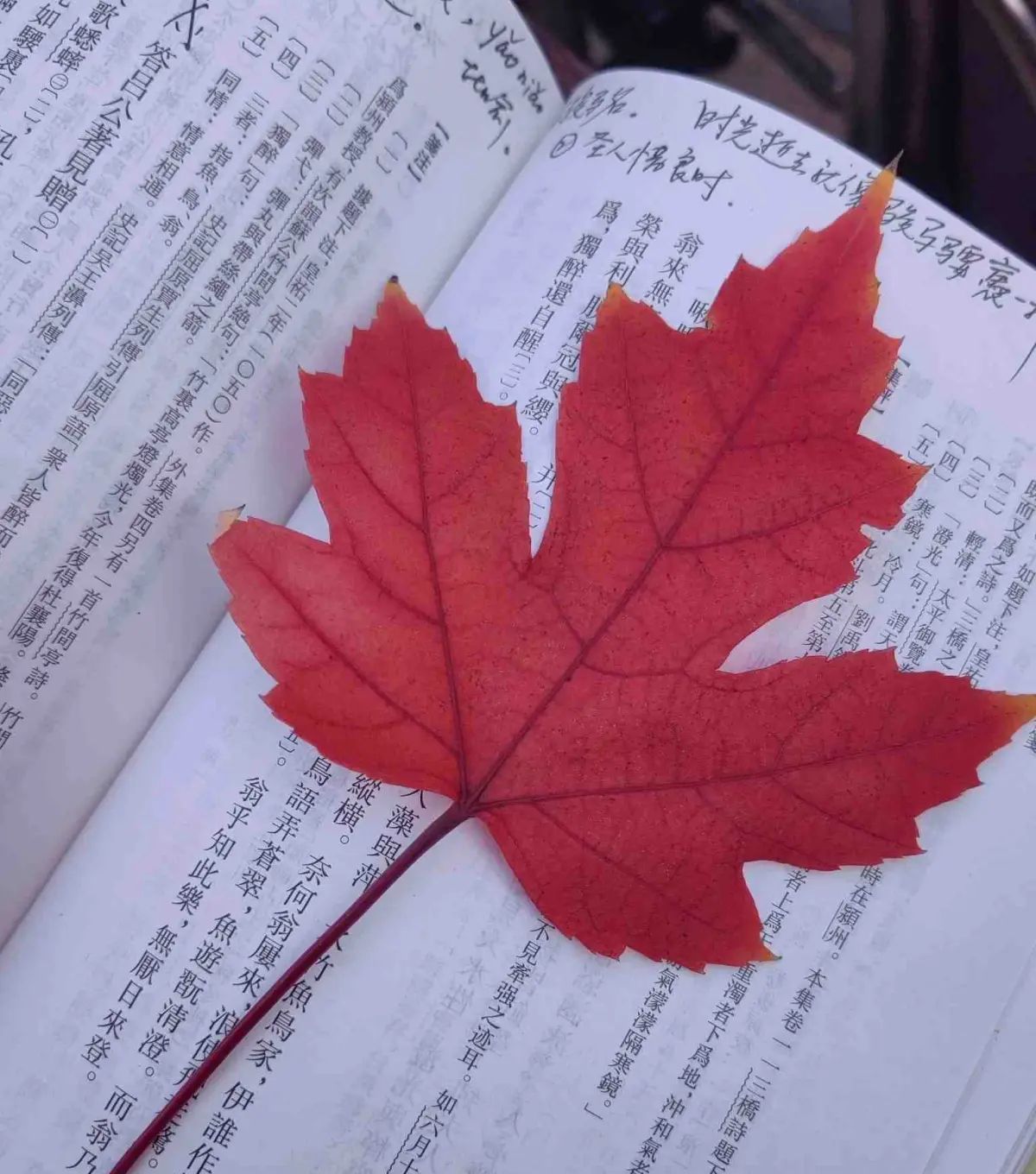 历史的缝隙（16）  欧阳修：人生自是有情痴，此恨不关风与月      这不过是一般的一首文人艳词而已，是“曲苑杂弹”市场需要的结晶，也是文人骚客茶余饭后的戏作。也许格调不高，但情语悱恻，令人动容。