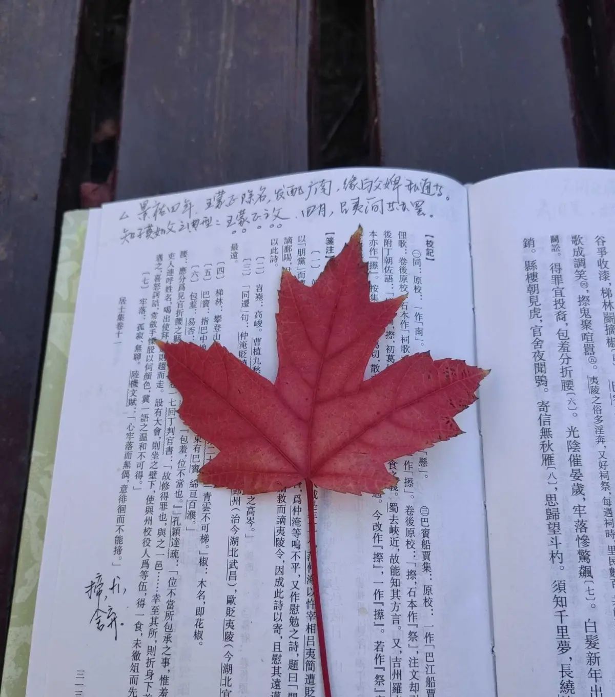 历史的缝隙(16) 欧阳修:人生自是有情痴,此恨不关风与月 这不过是一般的一首文人艳词而已,是“曲苑杂弹”市场需要的结晶,也是文人骚客茶余饭后的戏作。也许格调不高,但情语悱恻,令人动容。