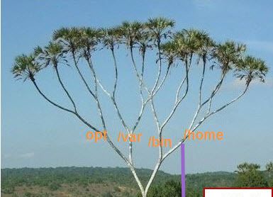 看Linux如何"挖坑种树"