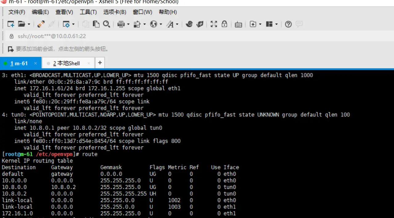 2025-03-01 day95 Ubuntu安装openvpn安装