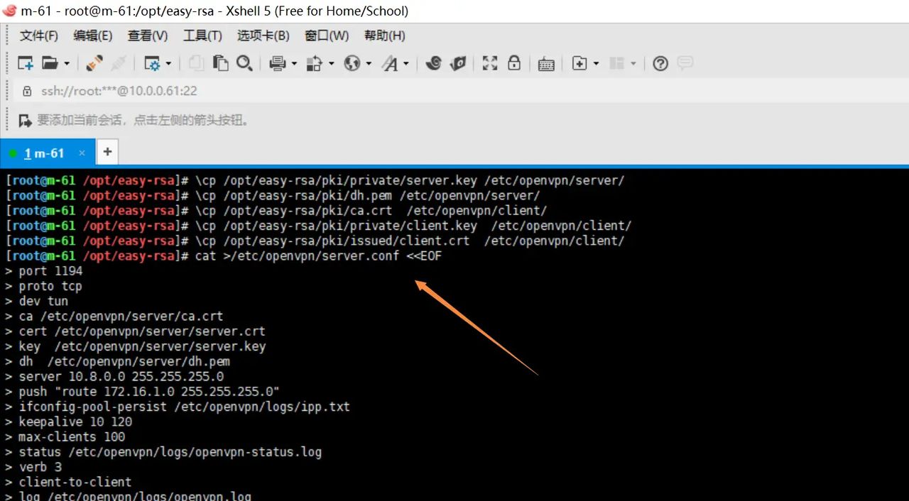 2025-03-01 day95 Ubuntu安装openvpn安装