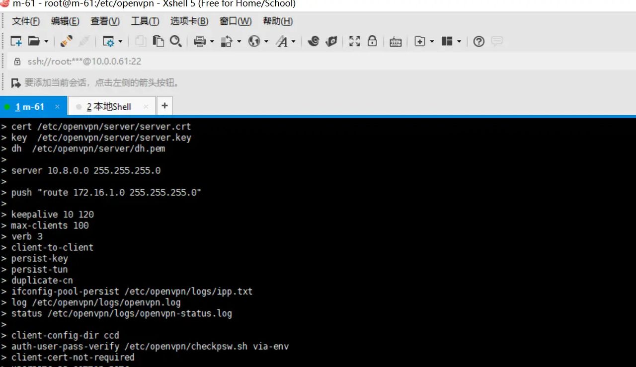 2025-03-01 day95 Ubuntu安装openvpn安装