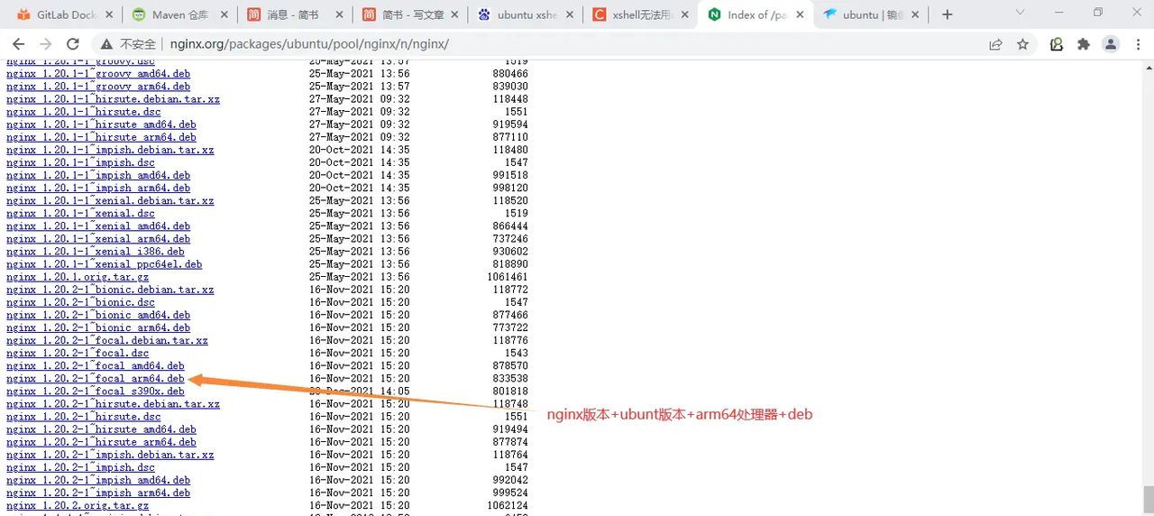 2025-03-01 day95 Ubuntu安装openvpn安装
