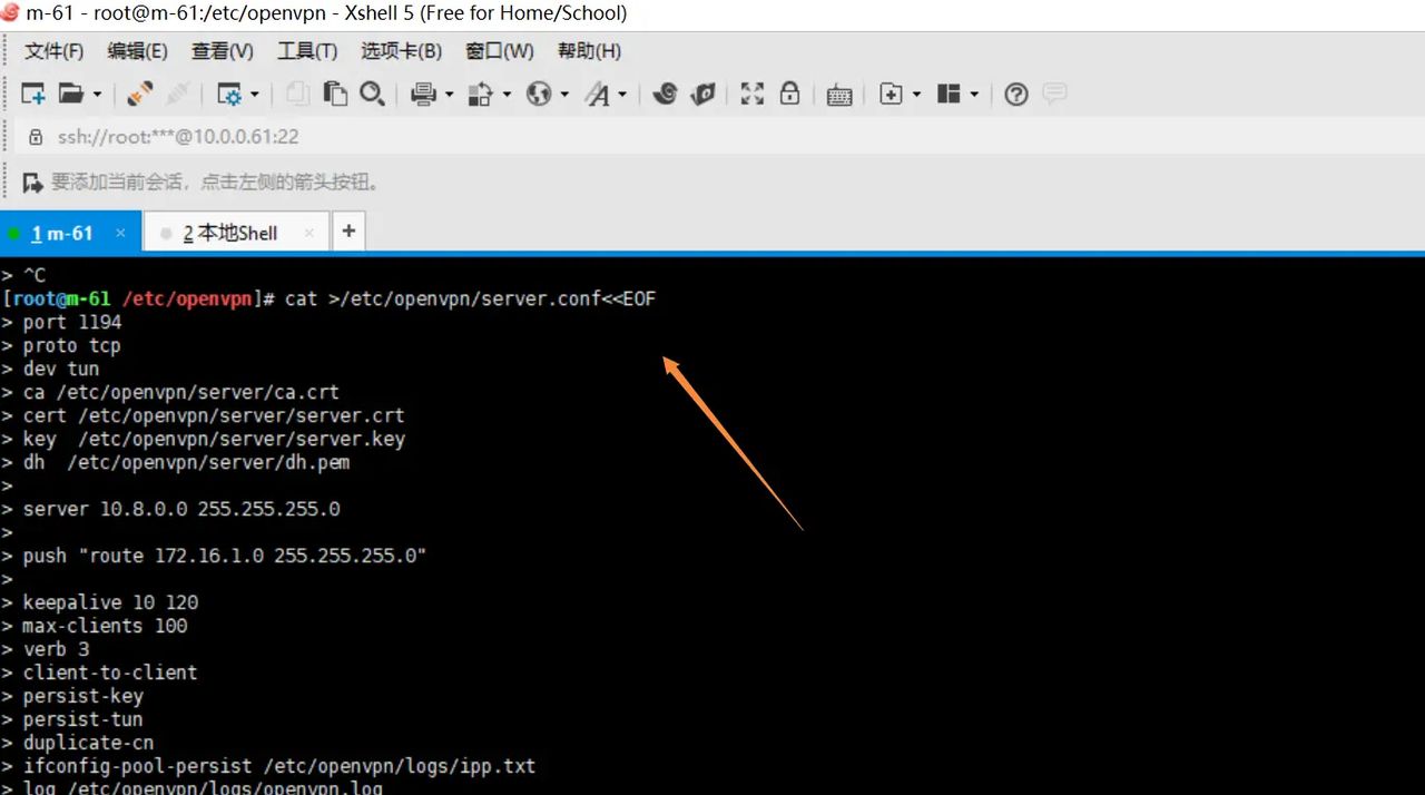 2025-03-01 day95 Ubuntu安装openvpn安装