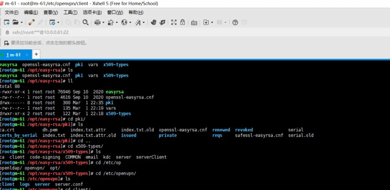 2025-03-01 day95 Ubuntu安装openvpn安装