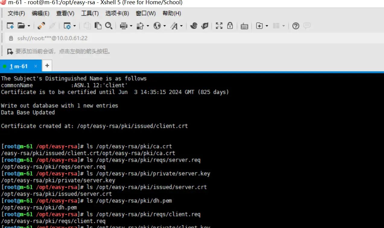 2025-03-01 day95 Ubuntu安装openvpn安装