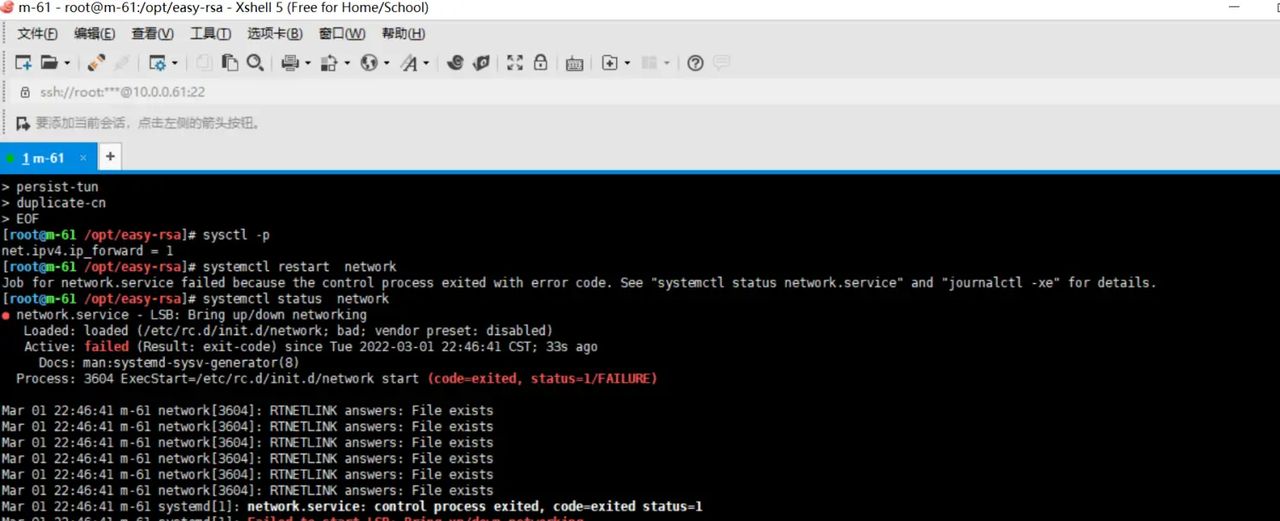 2025-03-01 day95 Ubuntu安装openvpn安装