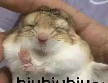 HTML和HTML5，css和css3的区别有那些?