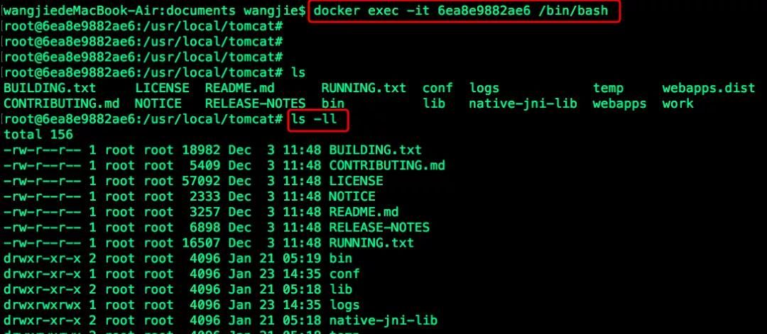 Docker篇(二):Docker实战,命令解析