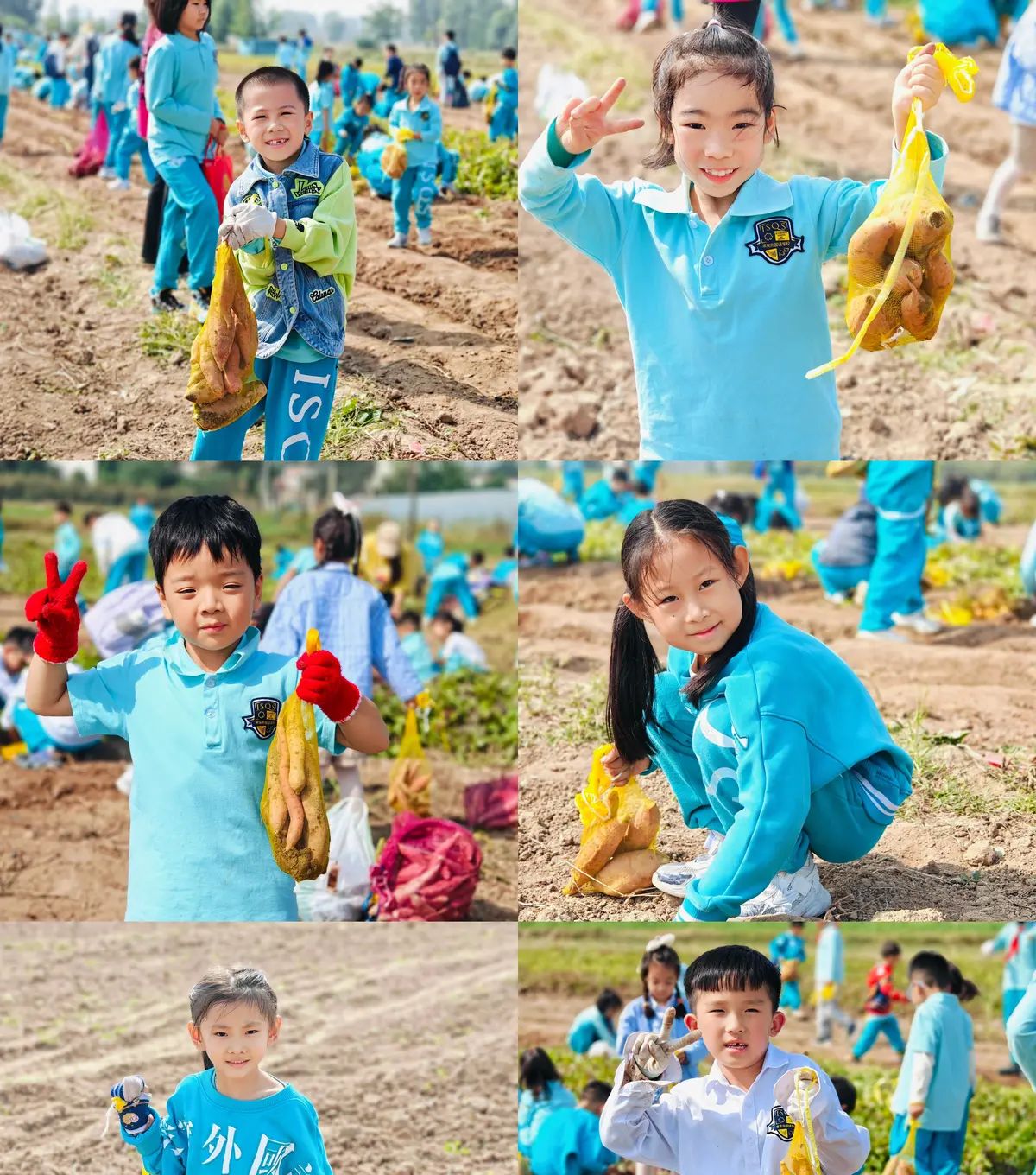 【乐知微记录】劳动教育——挖红薯，摘花生