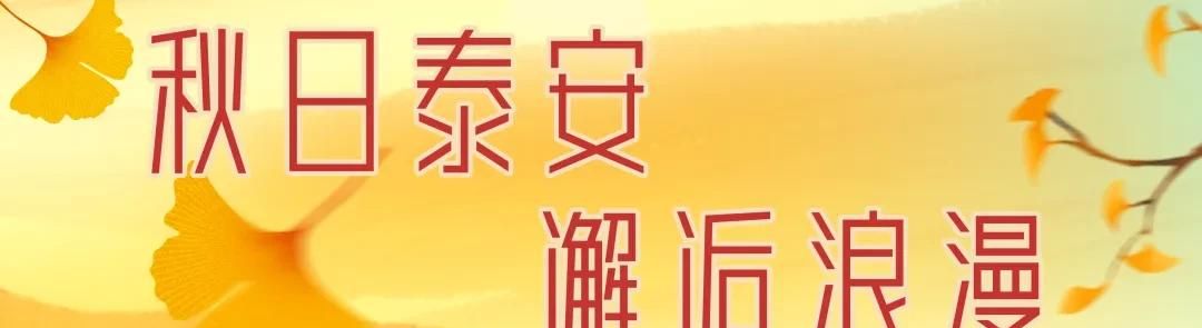 挖红薯！水果采摘！亲子牧场！来泰安，这场松弛感拉满的 “村游” 等你开启！