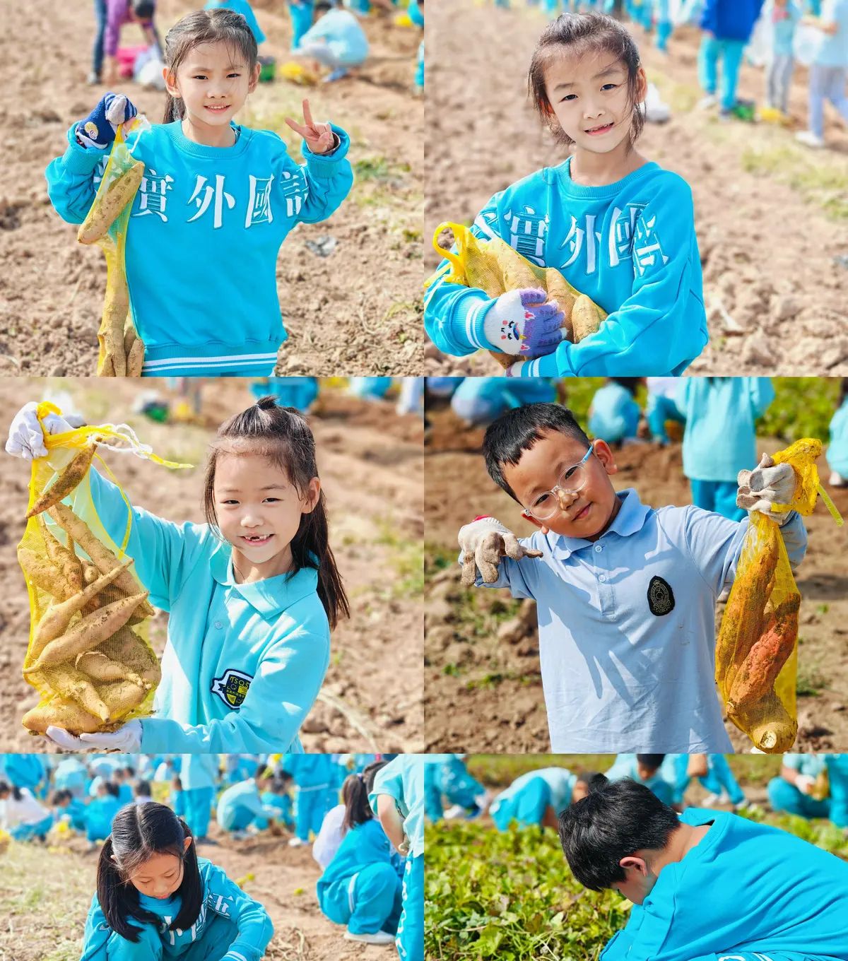 【乐知微记录】劳动教育——挖红薯，摘花生