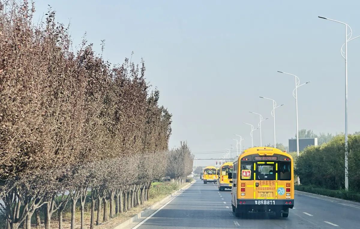 【乐知微记录】劳动教育——挖红薯，摘花生