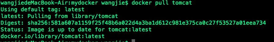 Docker篇(二):Docker实战,命令解析