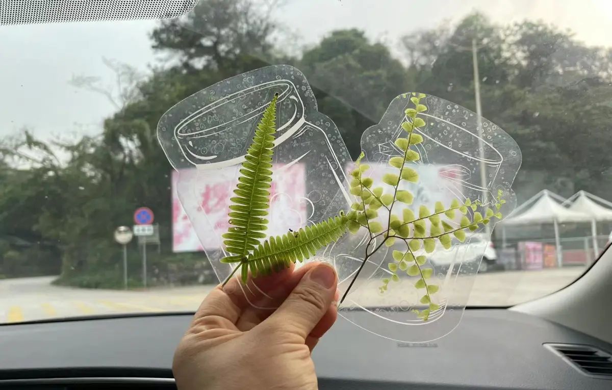 芙蓉山笋，挖不完，跟本挖不完