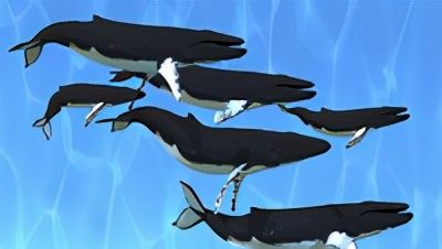 动手动脑学Kubernetes系列之Pod介绍