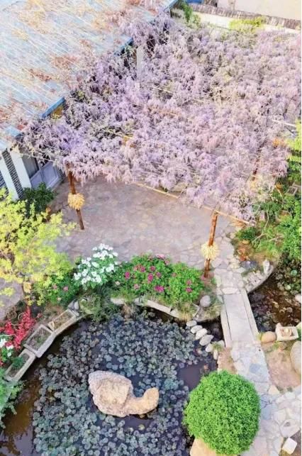 挖红薯！水果采摘！亲子牧场！来泰安，这场松弛感拉满的 “村游” 等你开启！