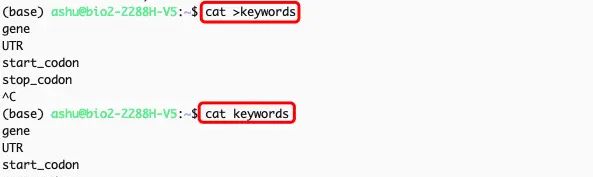 Linux处理文本的三驾马车-grep命令及使用例子