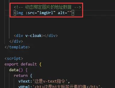 v-text、v-cloak、v-html、v-once、v-pre、v-bind指令的学习