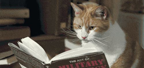 【Vue3入门】:Vue3中的模板语法有哪些?