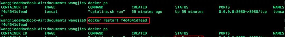 Docker篇(二):Docker实战,命令解析