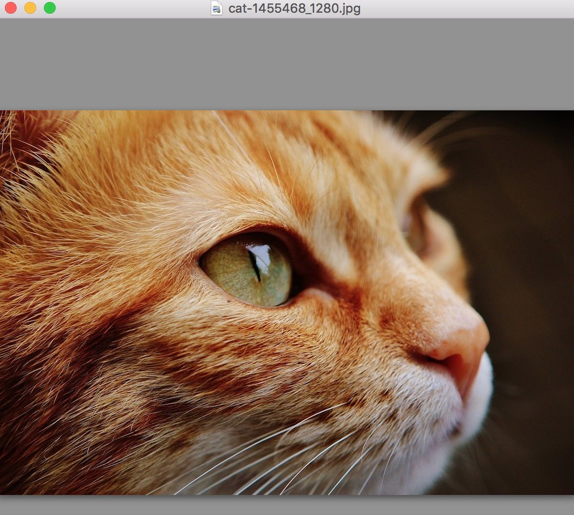 Mac平台好用的APP（一）