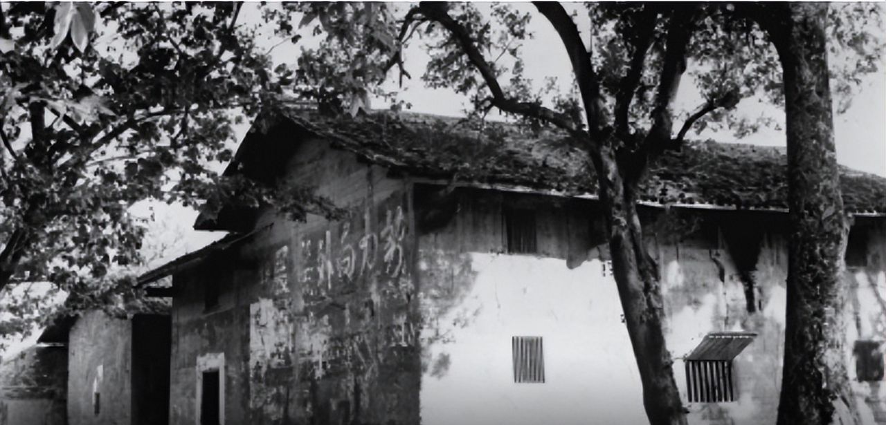 新华社和人民日报社，有什么区别？谁的级别更高？