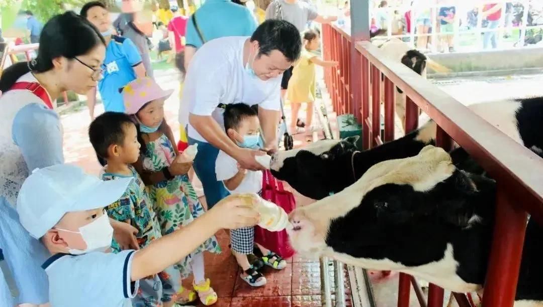 挖红薯！水果采摘！亲子牧场！来泰安，这场松弛感拉满的 “村游” 等你开启！