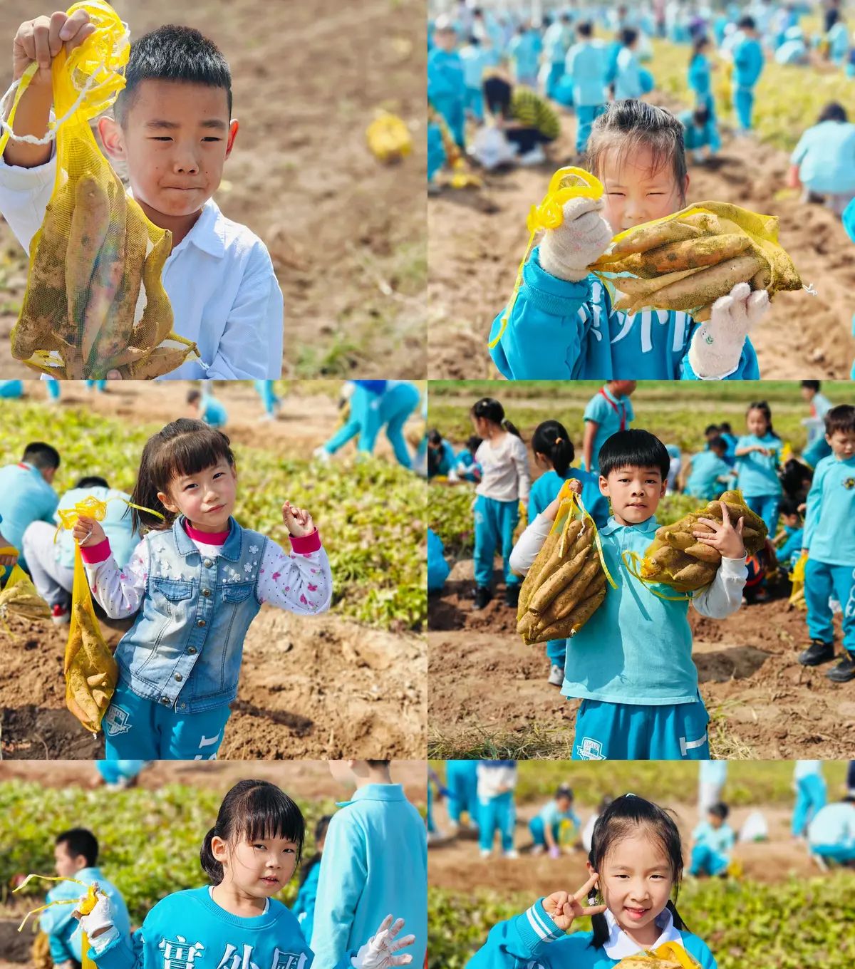 【乐知微记录】劳动教育——挖红薯，摘花生