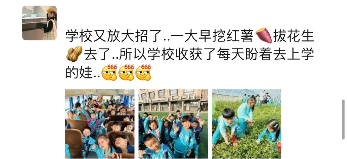 【乐知微记录】劳动教育——挖红薯，摘花生