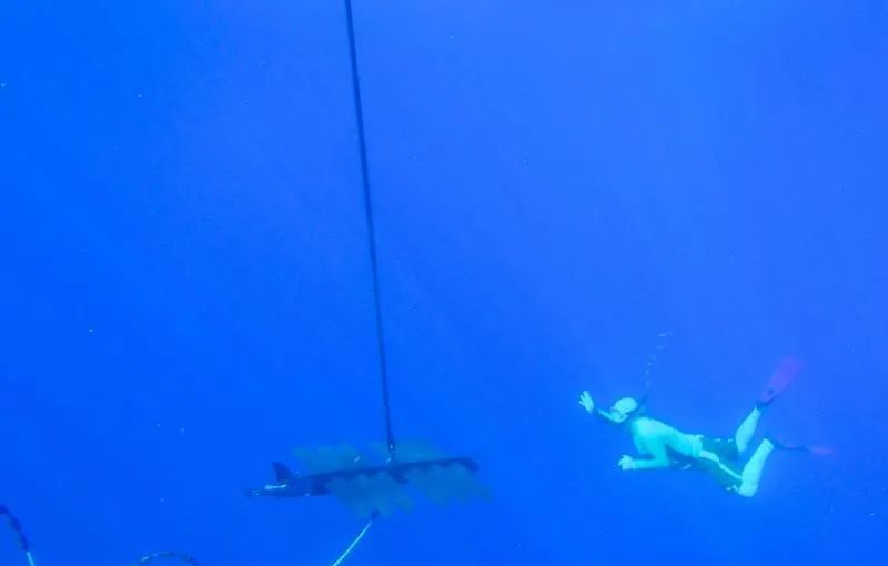 Java之父宣布退休!69 岁大神:干了这么多年软件工程师,是时候享受人生了!