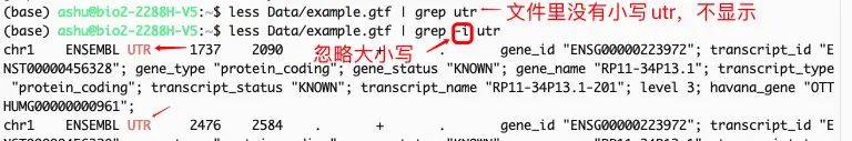 Linux处理文本的三驾马车-grep命令及使用例子