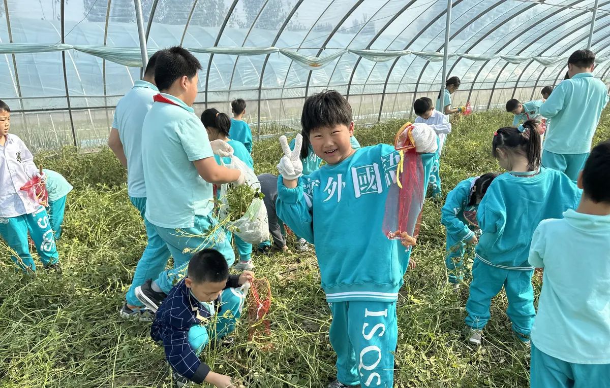 【乐知微记录】劳动教育——挖红薯，摘花生