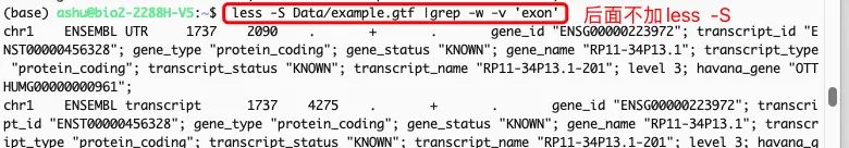 Linux处理文本的三驾马车-grep命令及使用例子
