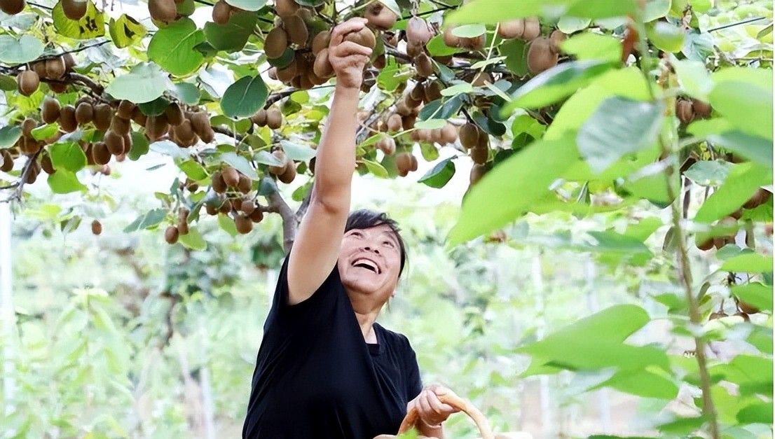 挖红薯！水果采摘！亲子牧场！来泰安，这场松弛感拉满的 “村游” 等你开启！