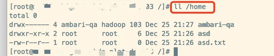 磁盘df与du 磁盘对比结果不一致问题