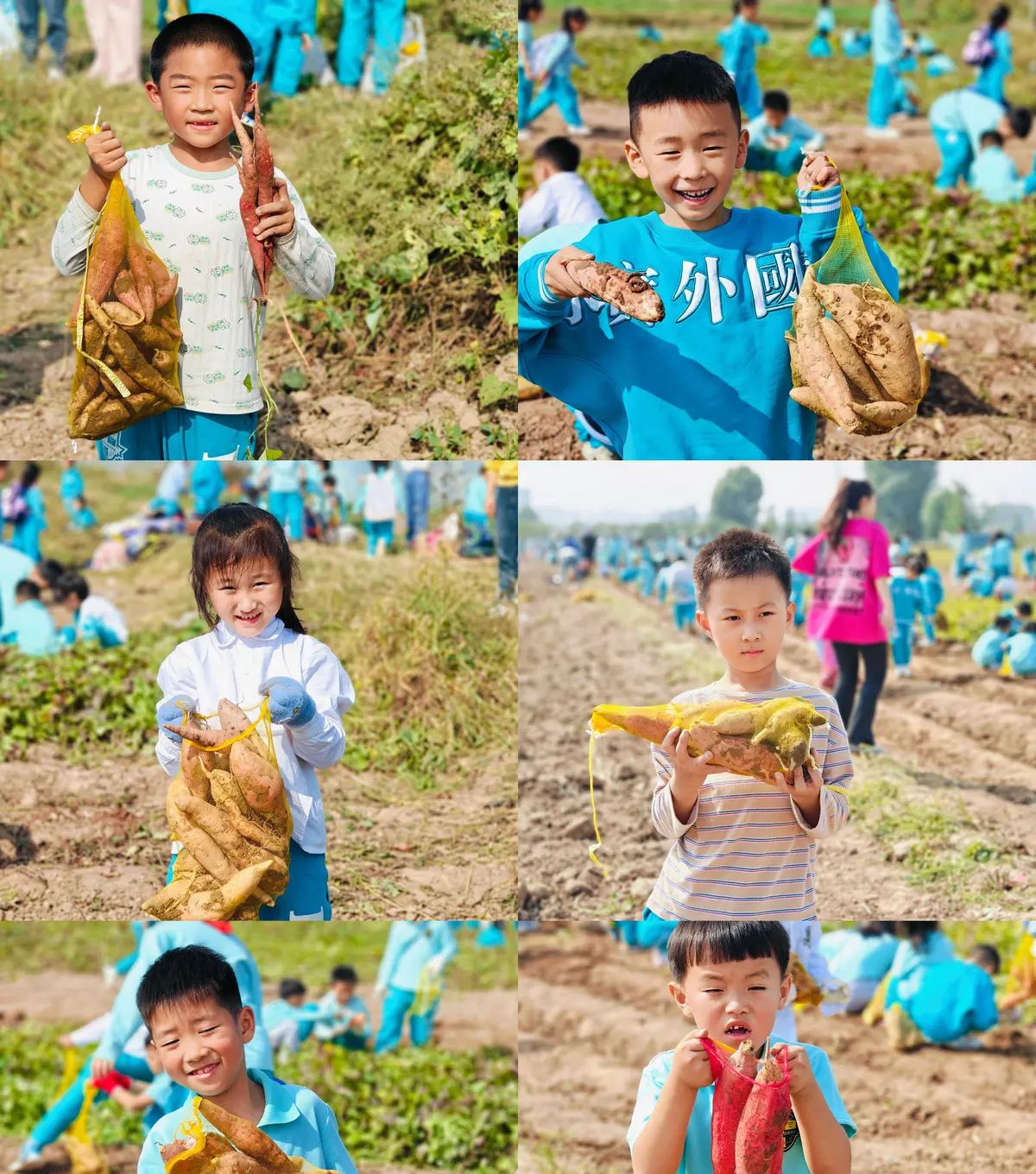 【乐知微记录】劳动教育——挖红薯，摘花生