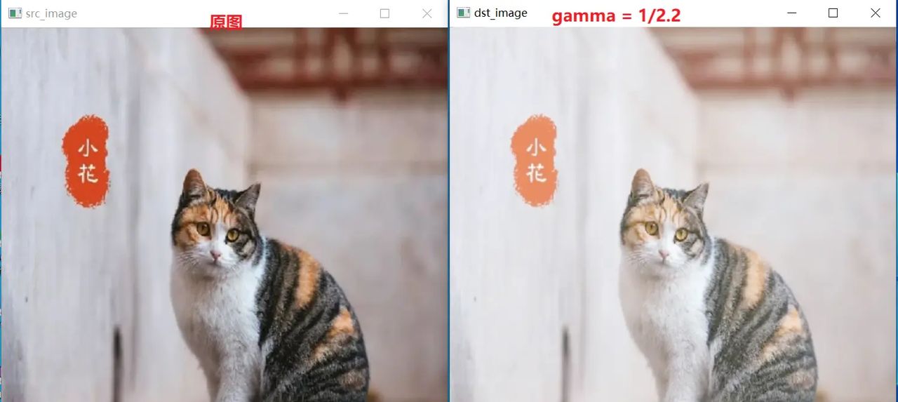 图形图像处理算法(2)---- Gamma 校正及算法实现