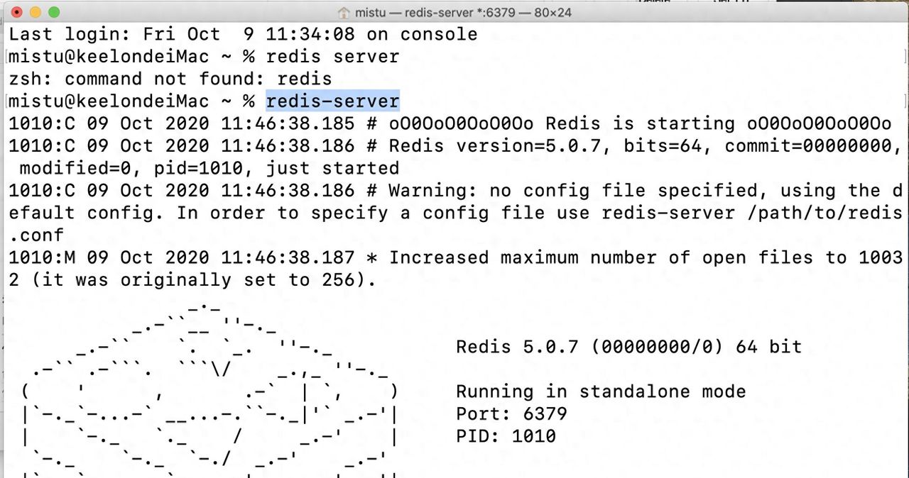Mac下安装redis相关jia教程