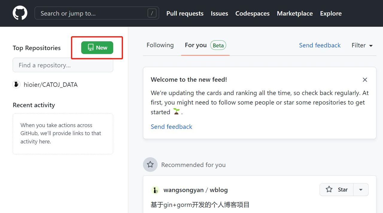 全球最大同性交友网站,github代码版本管理