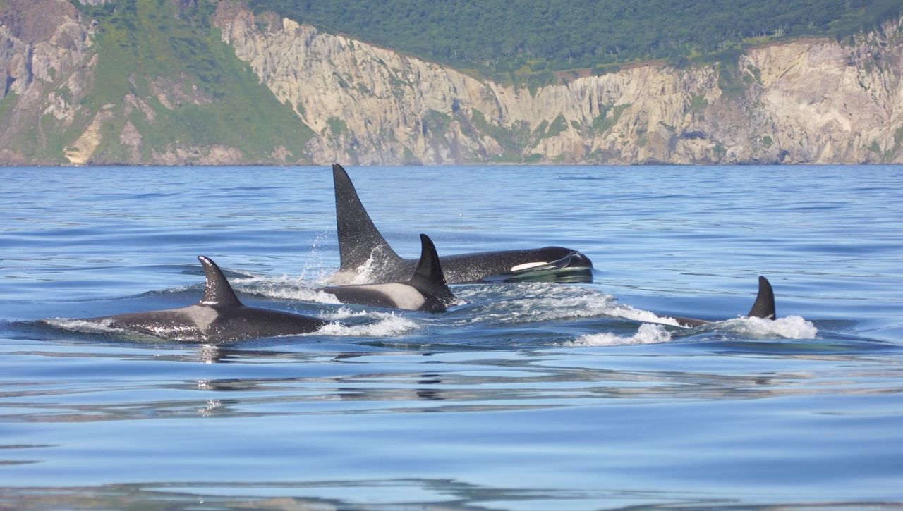 动手动脑学Kubernetes系列之Pod介绍