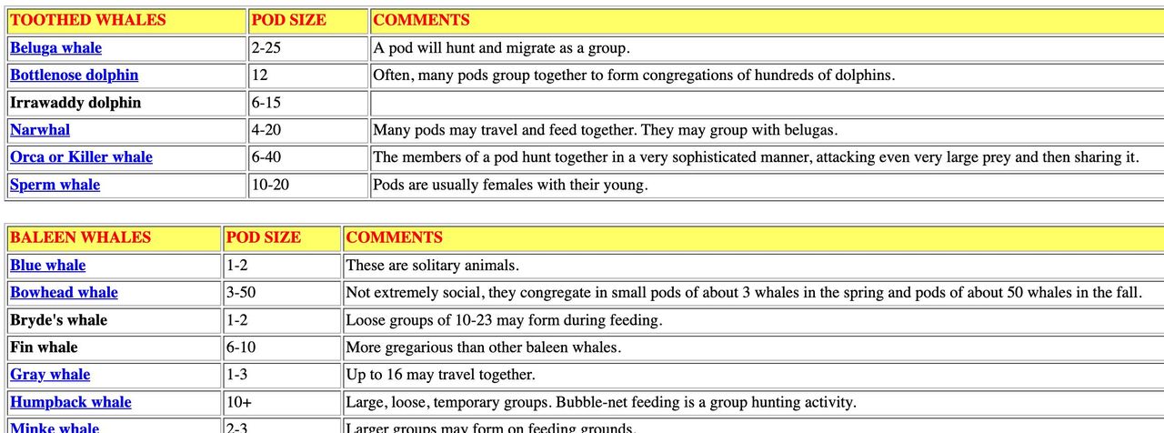动手动脑学Kubernetes系列之Pod介绍