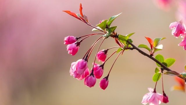 答对联:“上联:春深花入户,诚邀下联”