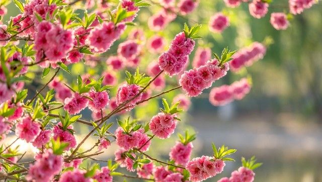 答对联:“上联:春深花入户,诚邀下联”