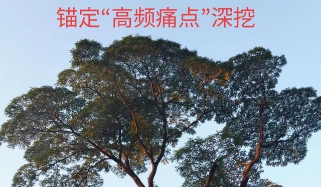 20251012项目管理周贴士_项目经理提升技术实力