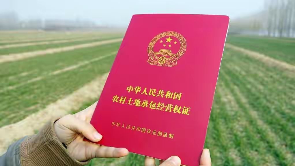 中央定调,农村基本农田禁令出台:10月1日开始实施一一
