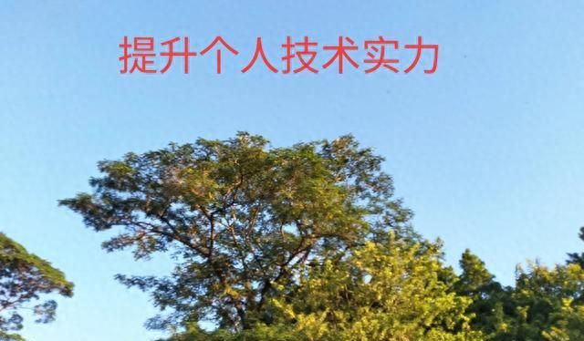 20251012项目管理周贴士_项目经理提升技术实力