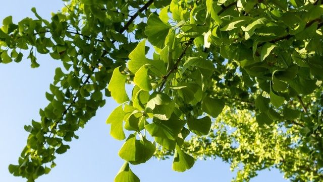 答对联:“上联:春深花入户,诚邀下联”