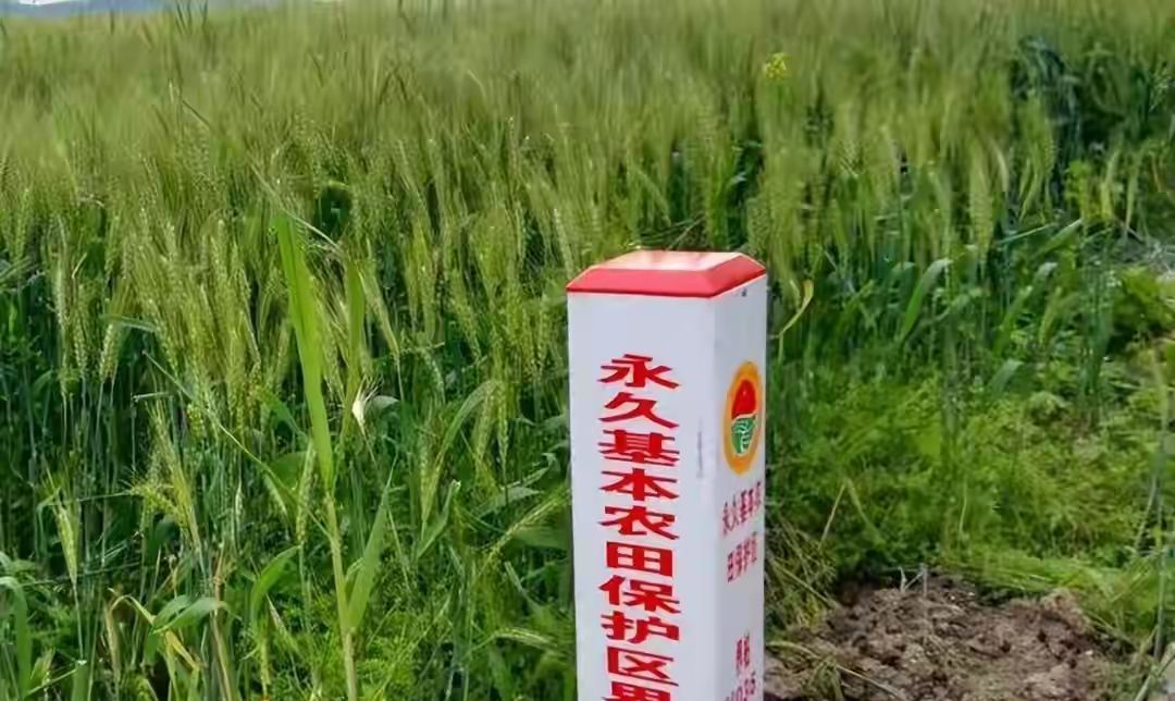 中央定调,农村基本农田禁令出台:10月1日开始实施一一