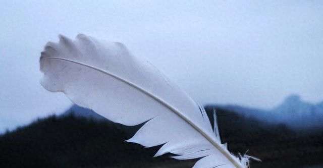 自学英语-小王子-chapter8